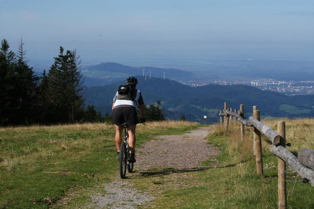 Berghaus Freiburg - Appartement Hotel Auf Dem Schauinsland Oberried  Bagian luar foto