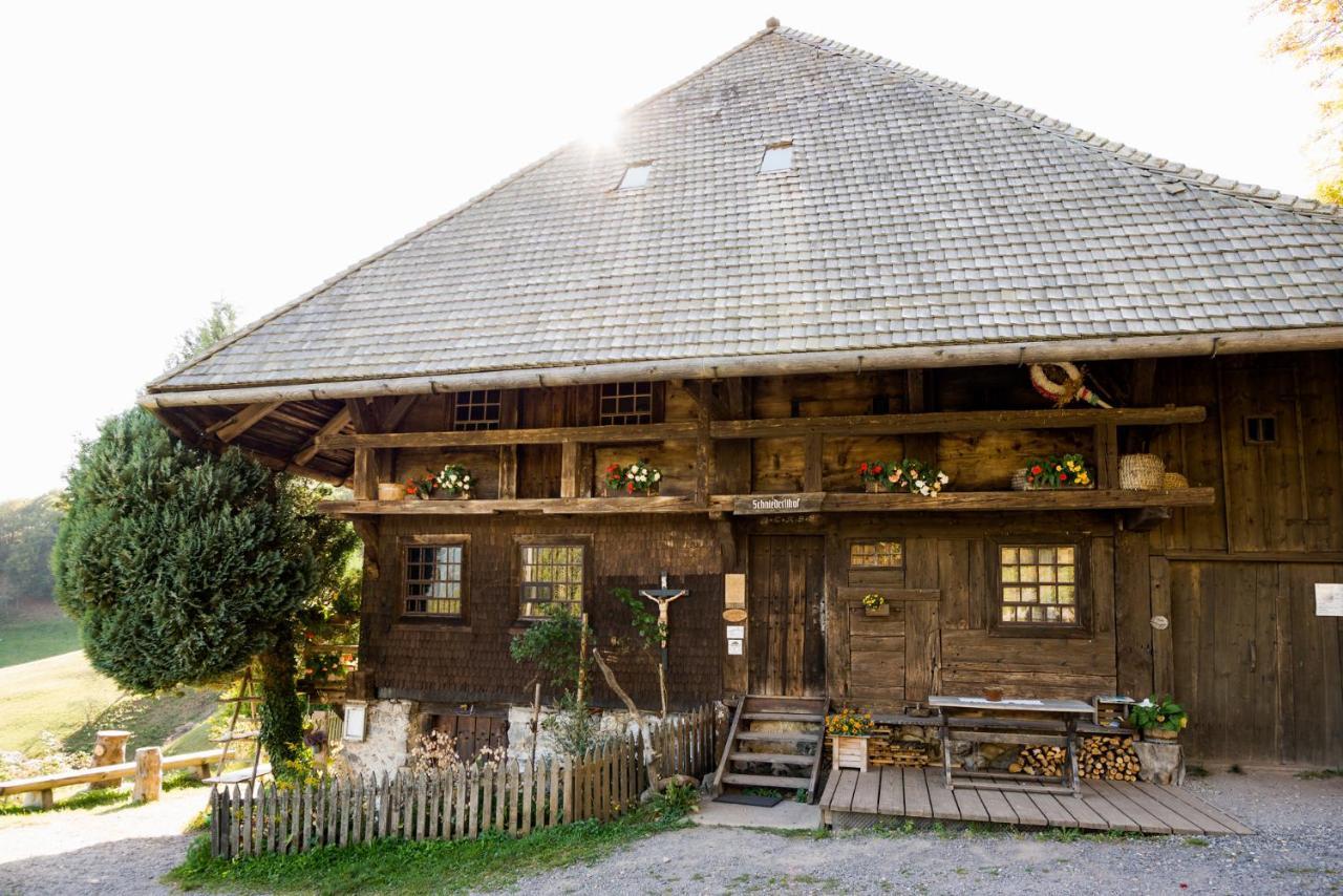 Berghaus Freiburg - Appartement Hotel Auf Dem Schauinsland Oberried  Bagian luar foto