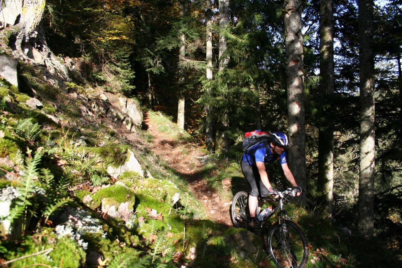 Berghaus Freiburg - Appartement Hotel Auf Dem Schauinsland Oberried  Bagian luar foto